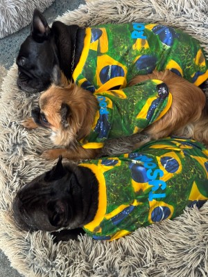 CAMISETA COPA- BRASIL